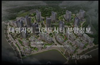 대명자이 그랜드시티 분양정보(2022년 대구광역시 남구)